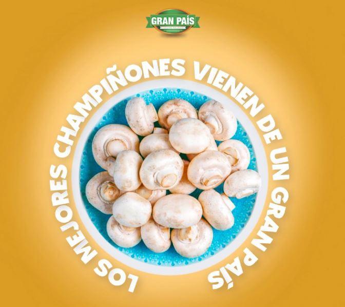 Agricola Panaven, S.A.