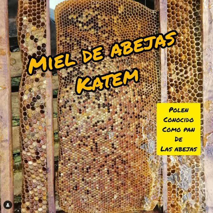 Miel De Abejas Katem